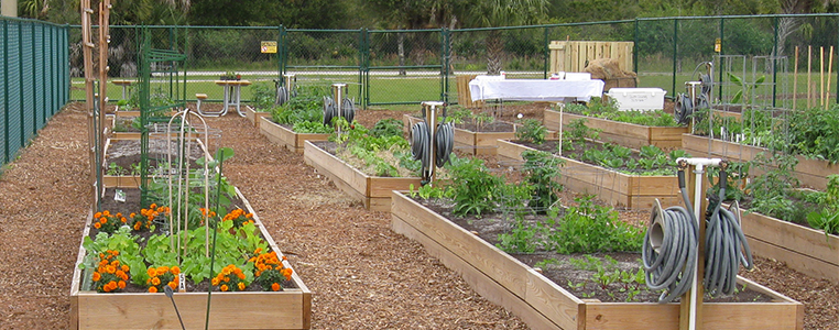 South County Regional Park Community Garden