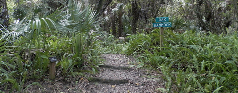 Audubon-Pennington Nature Trail