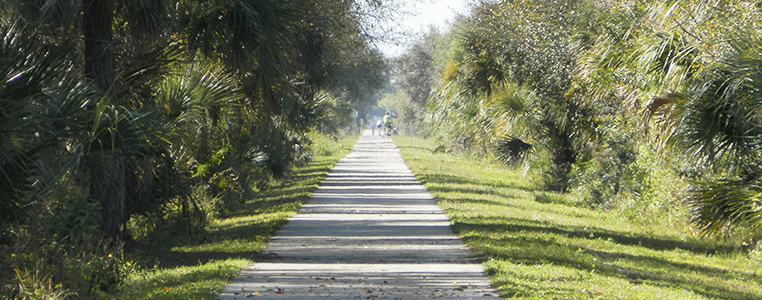 Cape Haze Pioneer Bike Trail