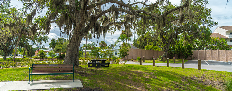 Lemon Bay Sunrise Rotary Park