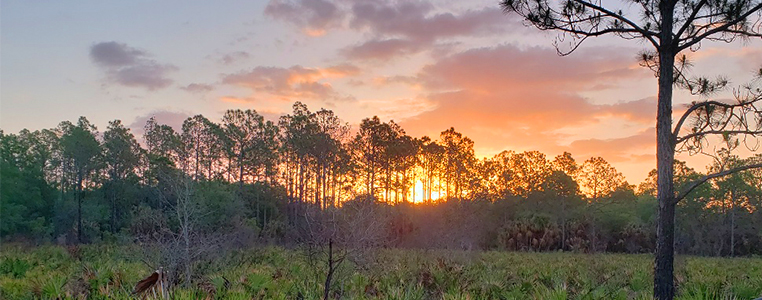 Prairie Creek Preserve Sunrise