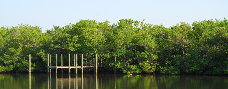 Thornton Key Preserve