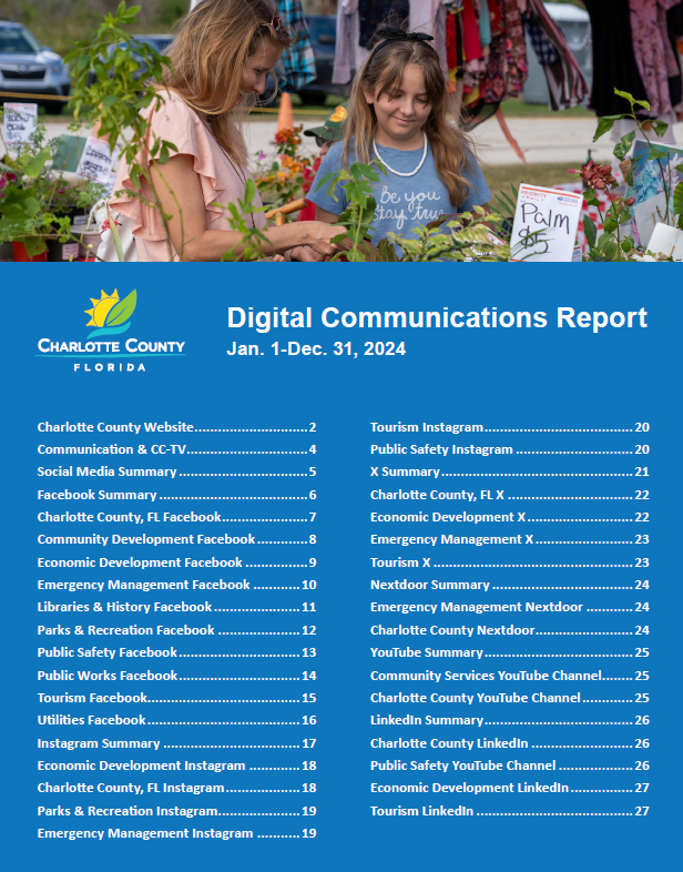 Picture of the digital communication report's cover